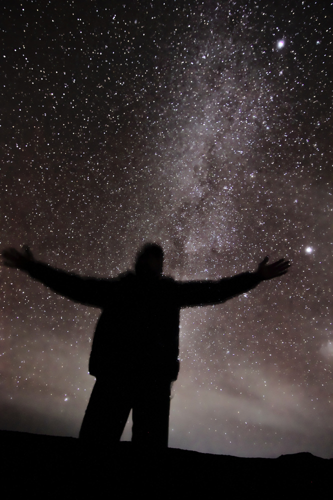 Selfie with the stars