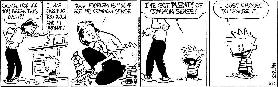 calvin_common_sense.jpg