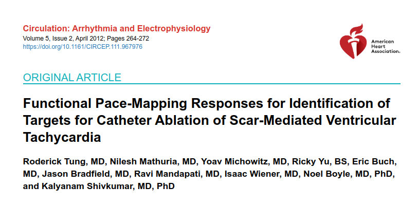 functional_pacemapping.png
