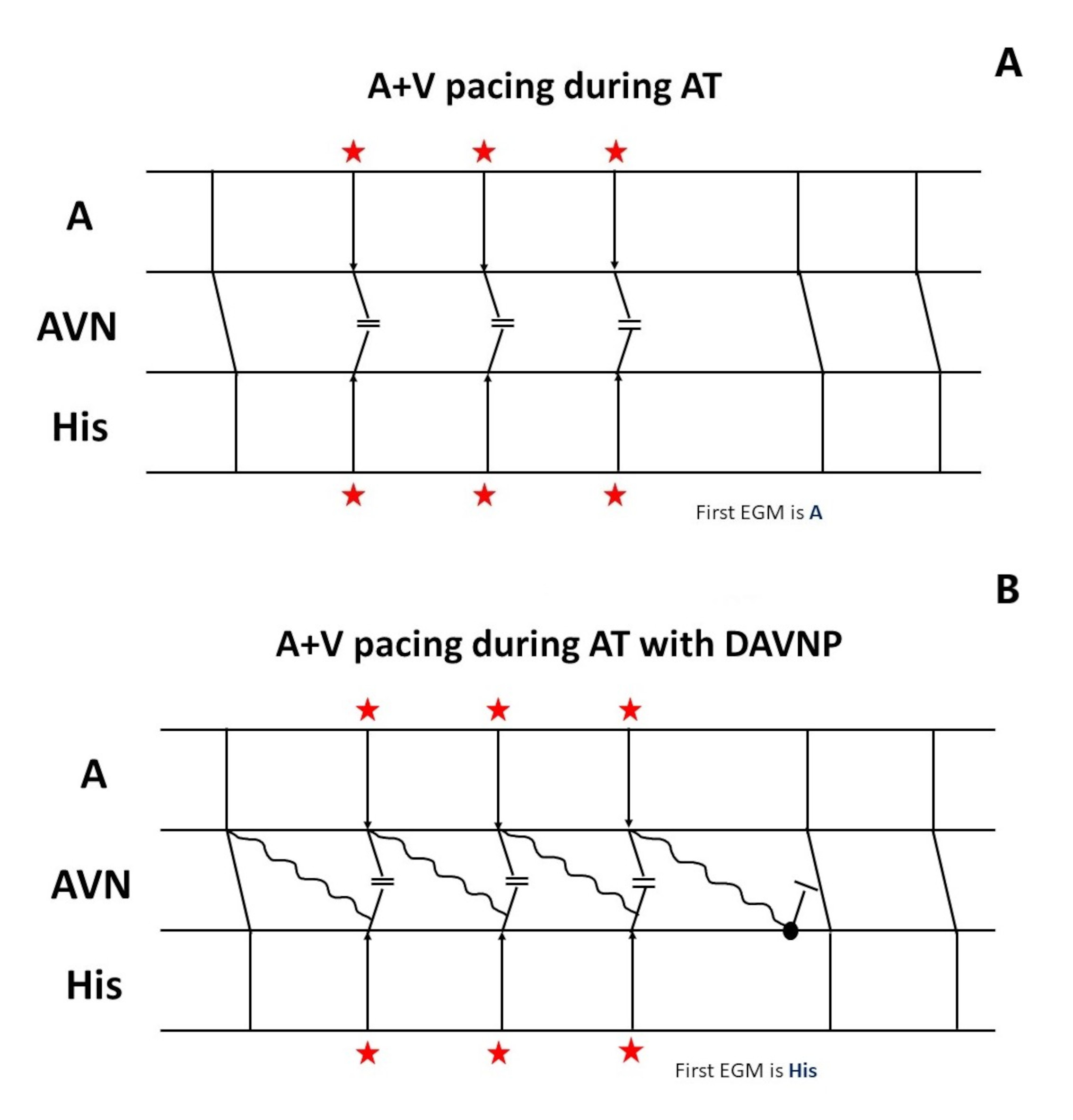 Figure3.jpg